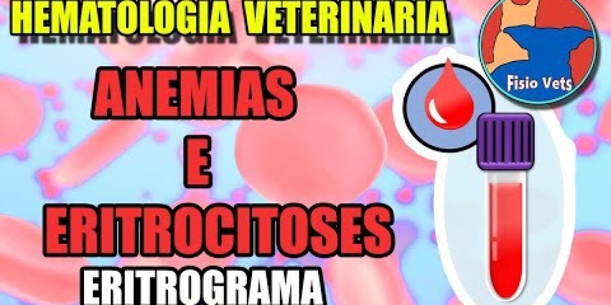 O Preço do RX para Seu Cachorro: Vale a Pena o Investimento?