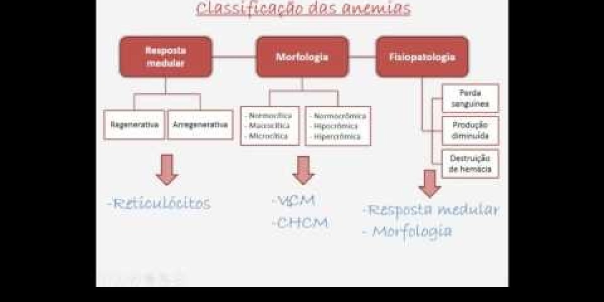 ¿Qué se ve en un Eco Doppler cardíaco?