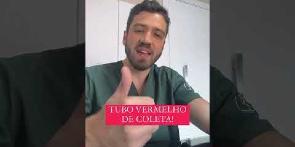 ¿Cuánto cuesta una ecografía para un perro? Análisis comparativo de clínicas veterinarias