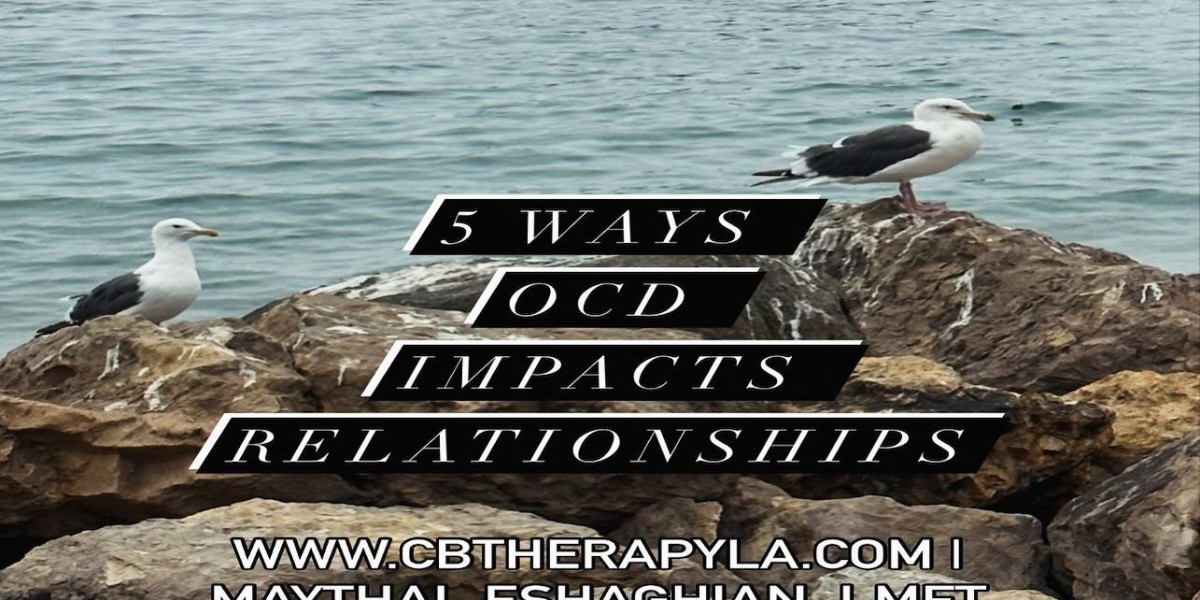 Exploring Therapy Options in Los Angeles: DBT, Family Therapy, and Child Psychologists