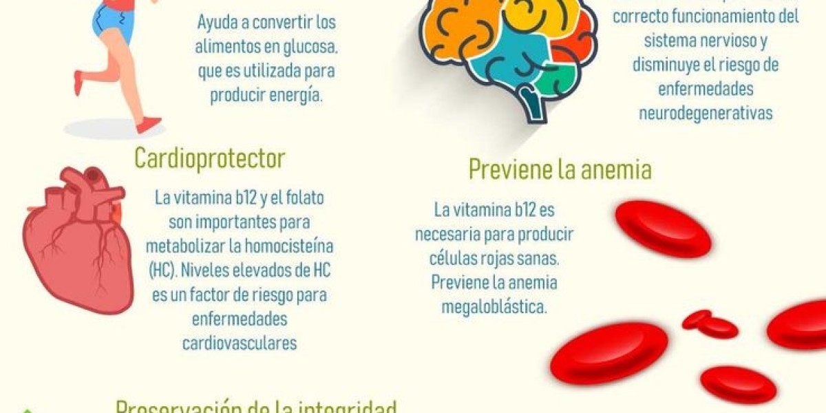 10 Beneficios De La Vitamina B12 Y Por Qué Debería Tomarla