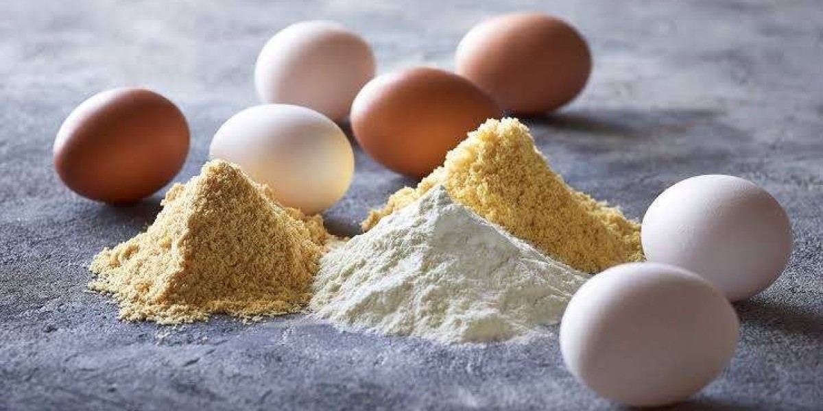 What is the Cost of Setting Up an Egg Powder Plant?