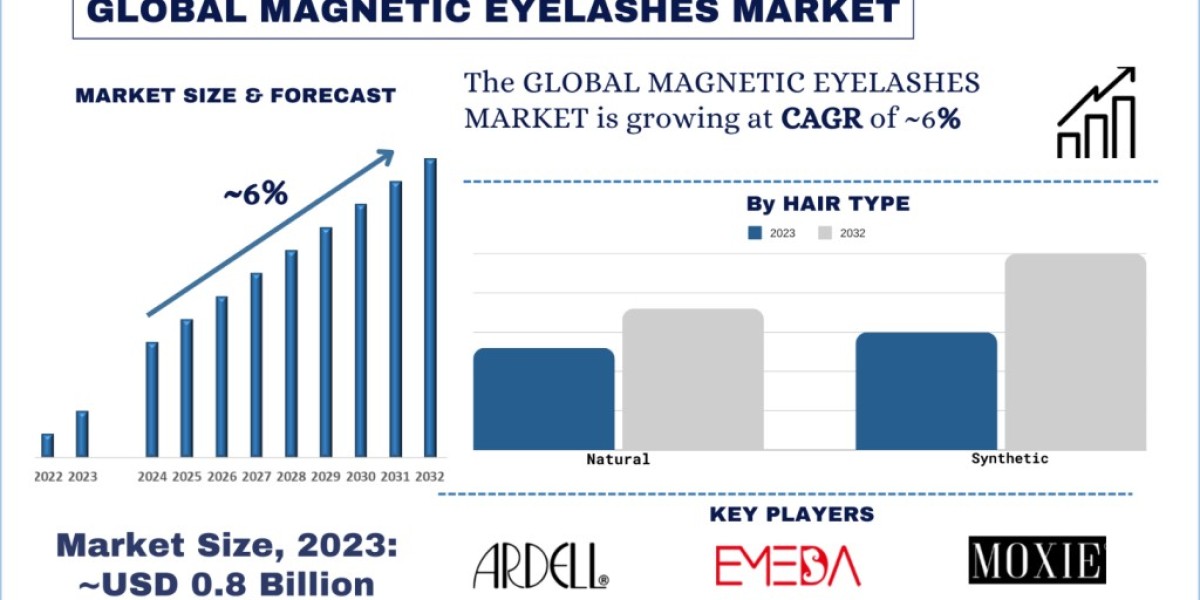 Magnetic Eyelashes Market Analysis by Size, Share, Growth, Trends, Opportunities and Forecast (2024-2032)