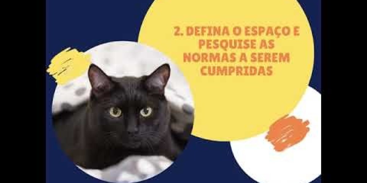 Cuidando com Amor: Como o PRÉ 3 Veterinário Apoia a Recuperação dos Nossos Pets