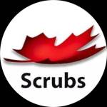 scrubscleaningcompany12 Profile Picture