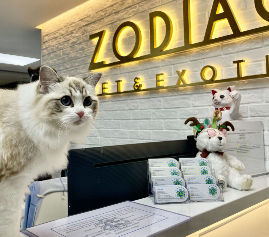 Top Signs Your Exotic Pet Needs to Visit a Vet | by Zodiac Pet and Exotic Hospital | Nov, 2024 | Medium