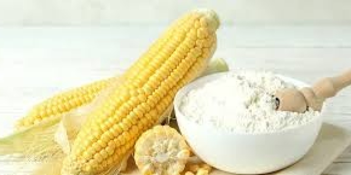 Modified Starch Market Size And Forecast Report 2024-2032