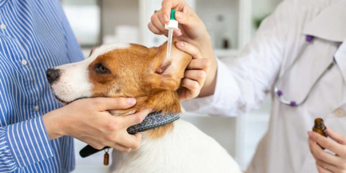 Review of bacterial and viral zoonotic infections transmitted by dogs