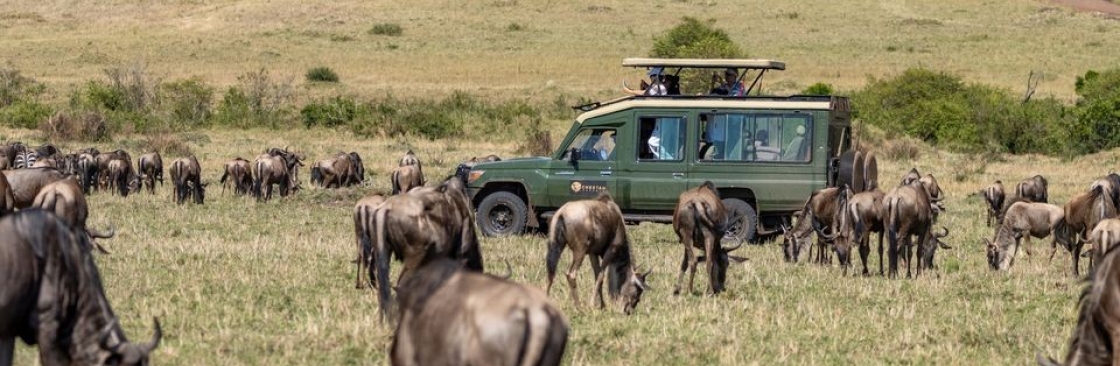 Cheetah Safaris Cover Image