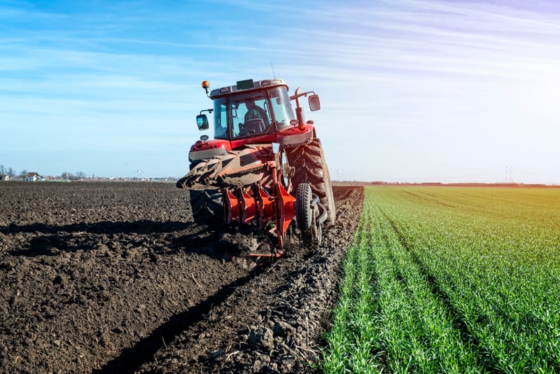 A Guide to AMMC’s Agricultural Services and Fertilizers in Saudi Arabia - agriculturemmc