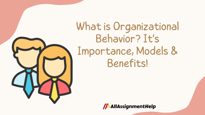 Why organizational behaviour is important for a company?