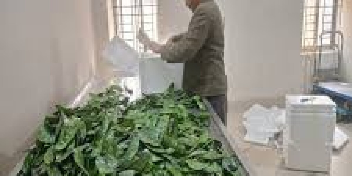 Best Vegetable Exporter in Bangladesh