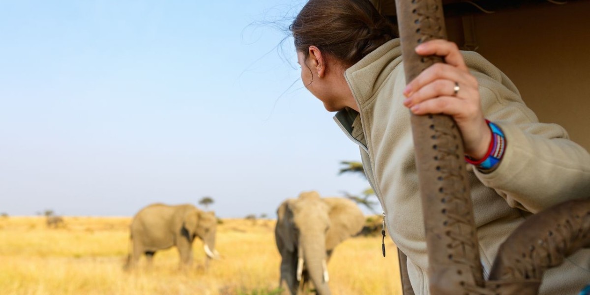 A Comprehensive Guide to the Different Types of Safari Experiences