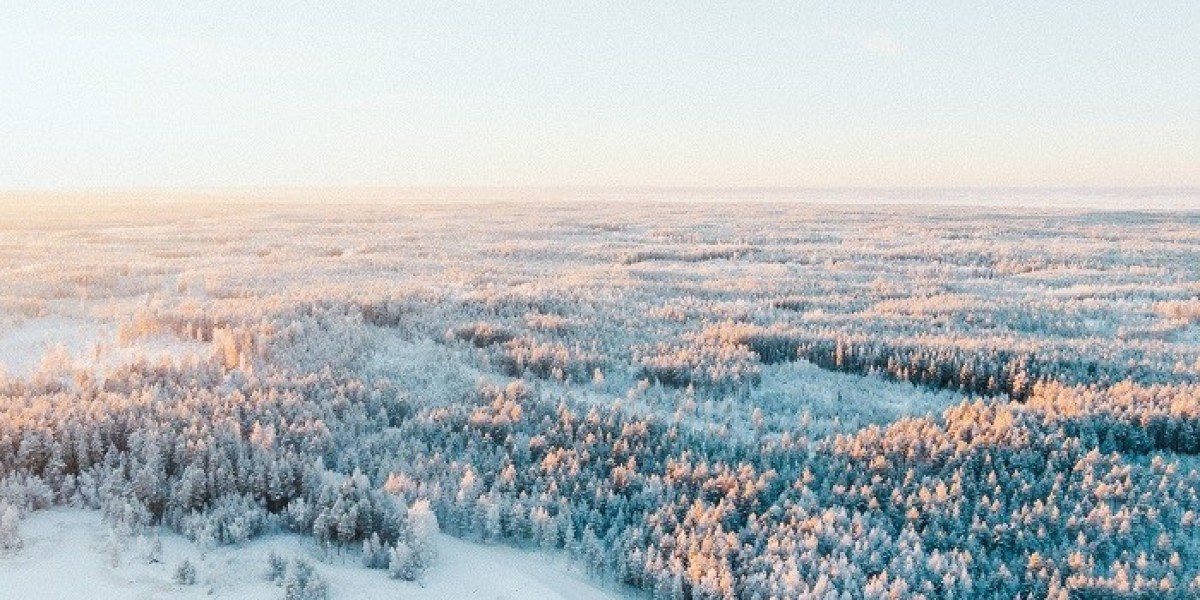 Best Things To Do In Finland