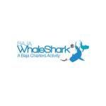 bajawhaleshark Profile Picture