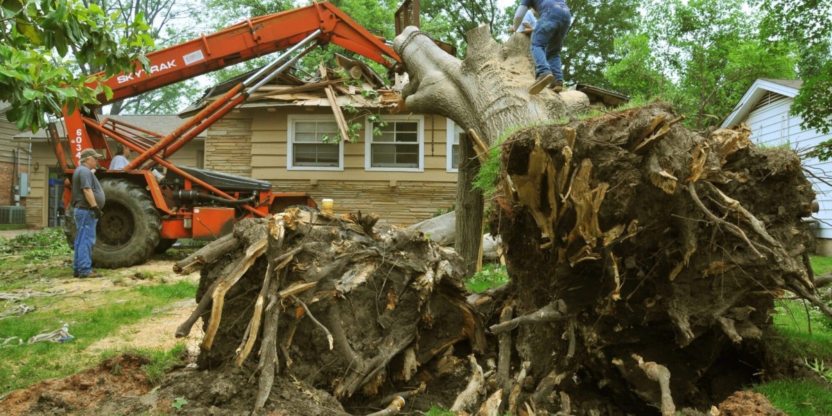 Top-Rated Affordable Tree Service Houston Homeowners Trust