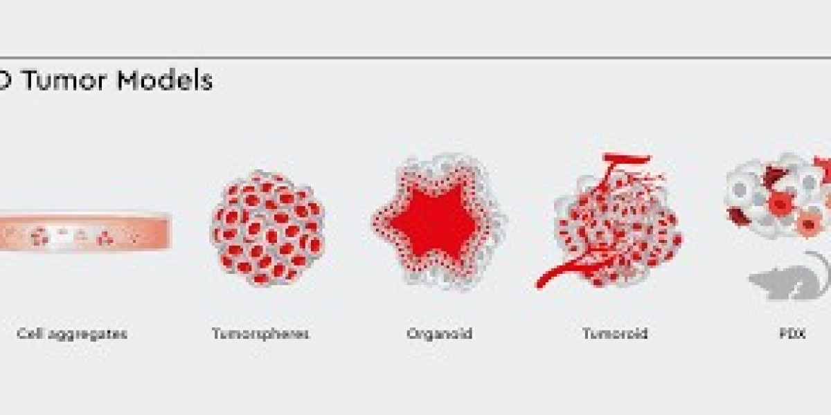 Tumor Models in Cancer Research: Types, Applications, and Challenges