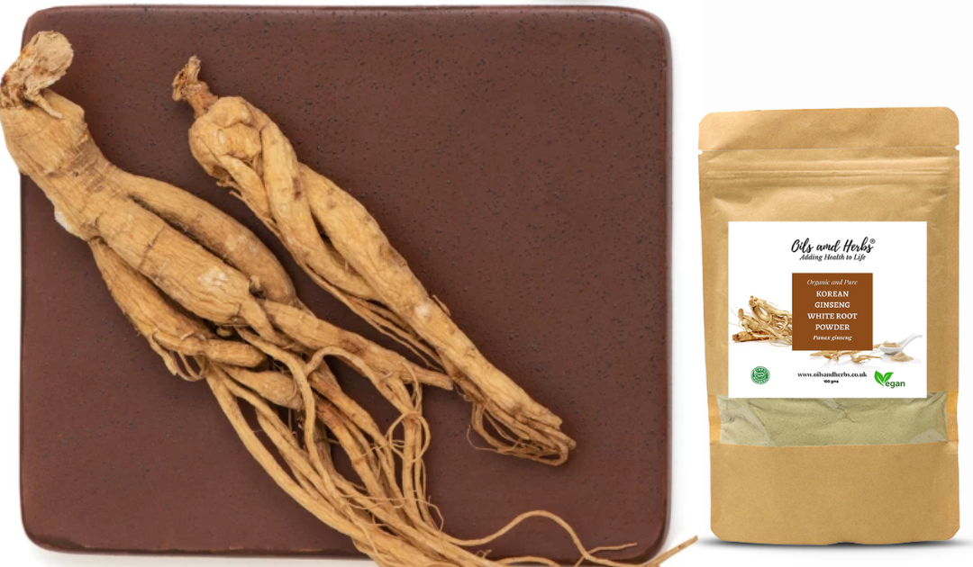 Unlocking the Power of Korean Ginseng Powder: Benefits, Uses, and How It Can Improve Your Health