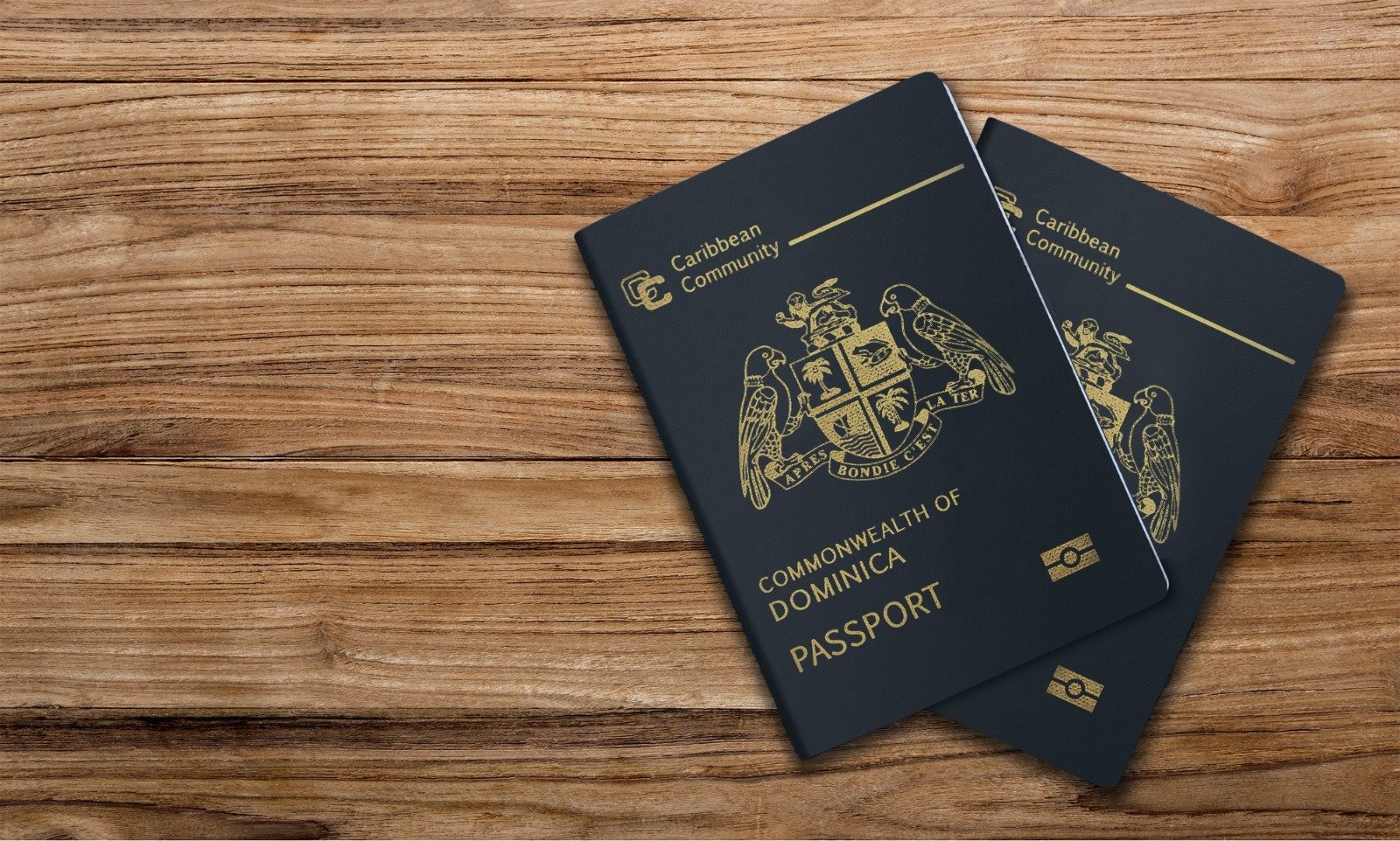 Why Should Lebanese Nationals Consider Dual Citizenship? – Site Title