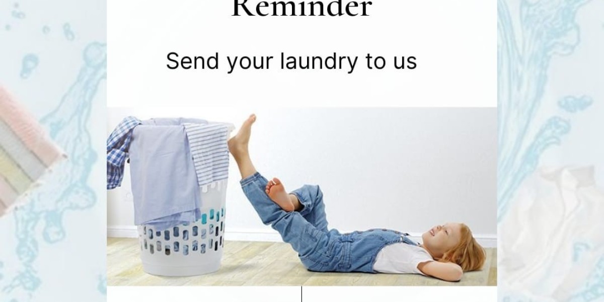 Laundry Hacks for Busy Professionals in Malviya Nagar