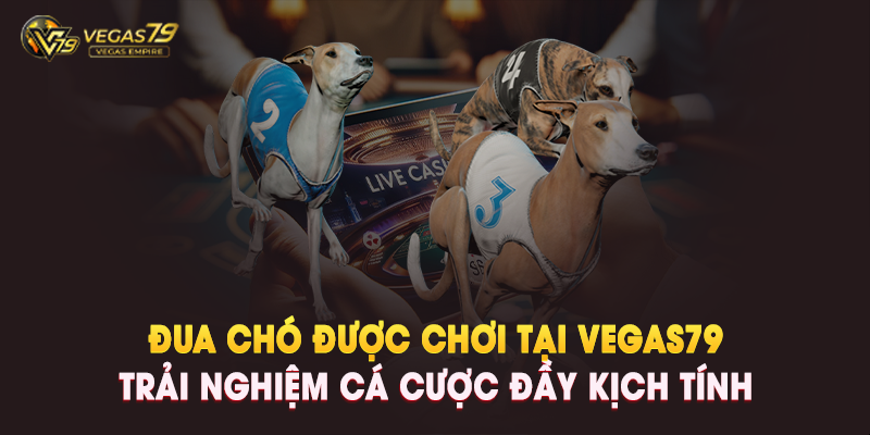 Đua Chó Được Chơi Tại Vegas79: Trải Nghiệm Cá Cược Đầy Kịch Tính